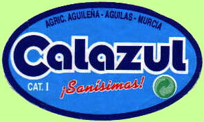 calazul-1.jpg