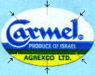 carmel-5.jpg