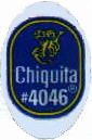 chiquita-4.jpg