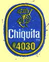 chiquita-7.jpg