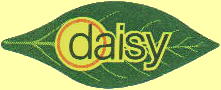 daisy-1.jpg