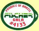 fischer-1