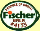 fischer-2