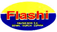 flashi-1.jpg