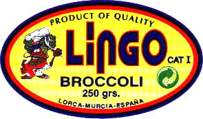 lingo-1.jpg