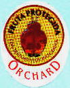 orchard-1.jpg