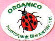 organico-1.jpg