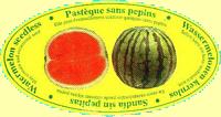 watermelon-1.jpg